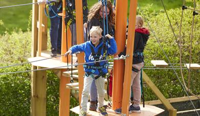 Harlow High Adventure
