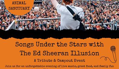 Songs Under the Stars With the Ed Sheeran Illusion