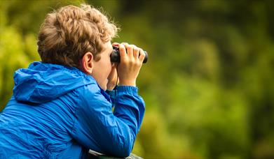 Becoming a Birdwatcher