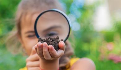 Becoming a Nature Watcher