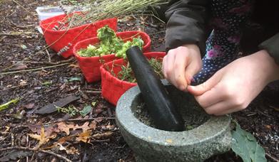 Grange Farm Woodland Magic