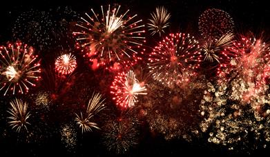 Beauvoir Arms Bonfire Night