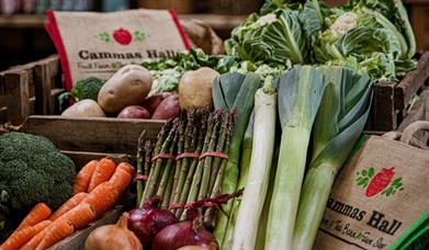 Fresh Vegetables Cammas Hall Farm Shop