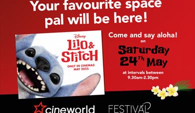 Get Stitched Up at Festival Leisure Park