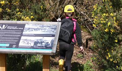 Fingringhoe Wilder Holiday Club 5+