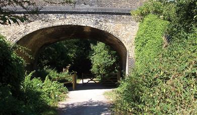 Flitch Bridge Essex