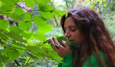 Forest Bathing