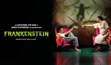 imitating the dog's Frankenstein