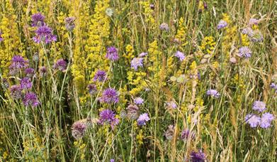 Balancing the Challenges – Managing Heritage Landscapes alongside Contemporary Needs