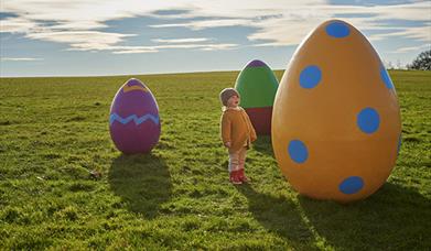 The Giant Easter Egg Hunt