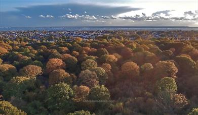 Saffron Trail Stage 7 – Belfairs Wood, Hadleigh to Southend Pier