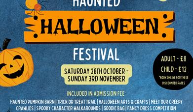 Haunted Halloween Half Term