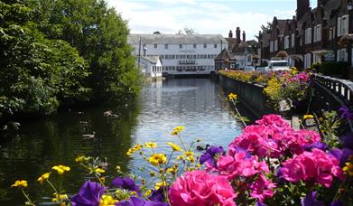 Halstead Mill and the River Colne