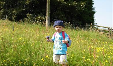 Ingrebourne Wild Wednesday