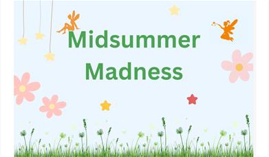 Midsummer Madness Family Fun Day