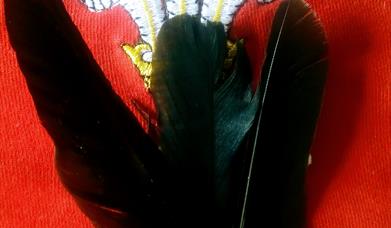 The Miner's Crow