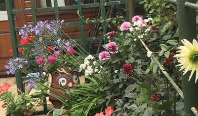 HARWICH SECRET GARDENS