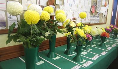 Autumn Show
