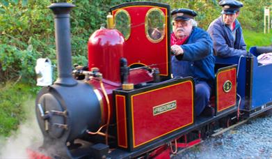 Small Train Day (w/ Unlimited Steam Train rides)