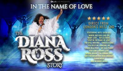 The Diana Ross Story