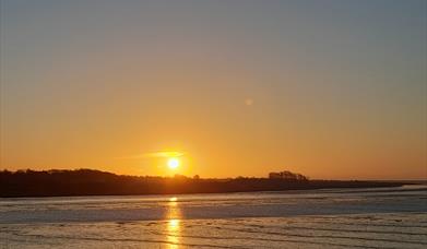 Dawn Chorus Early Morning  Opening