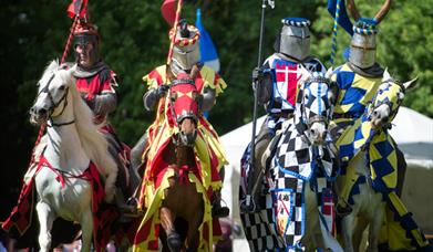 Knights of Royal London Joust