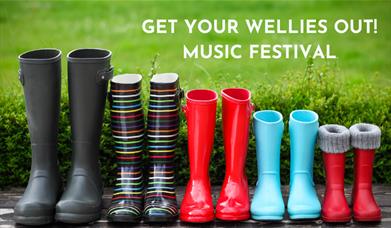 Row of different size and colour wellies against grassy background