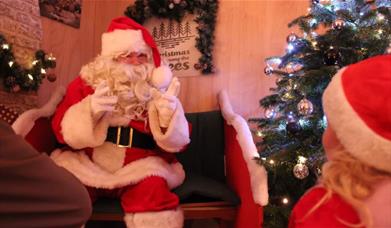 Santa's Grotto at Christmas Among the Trees