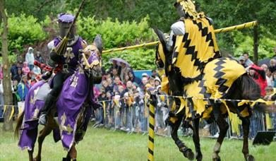 Knights of Arkley Joust