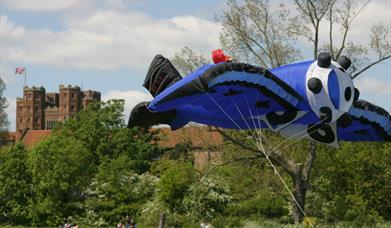 Kite Flying