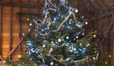 Christmas Matinee - 'Twas the night before Christmas