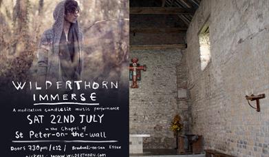 Wilderthorn Immerse