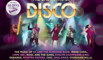 The Last Days Of Disco