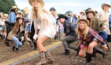 Tennessee Fields Festival