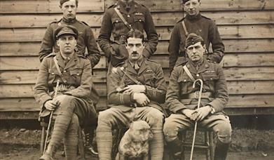 Wings and Wags Dog Show