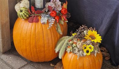 Decorated pumpkins at Maldon Prom Zoo