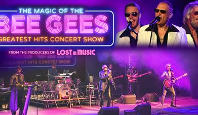 The Magic Of The Bee Gees