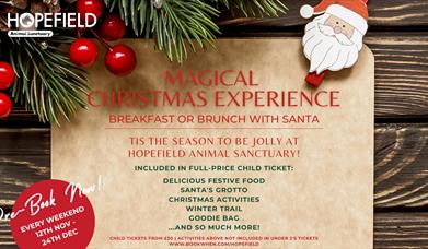 Magical Christmas Experience at Hopefield Animal Sanctuary