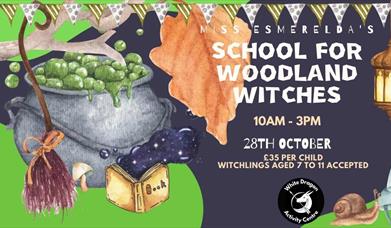 School for Woodland Witches