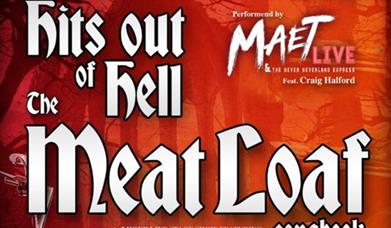 Meatloaf Story - Hits out of Hell