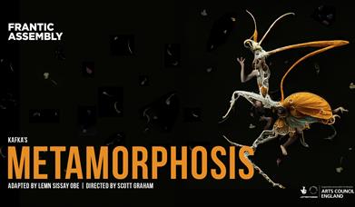 Metamorphosis