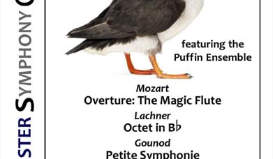 Colchester Symphony Orchestra: Wind concert