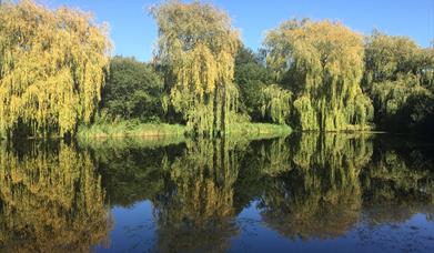 Newland Hall Fishery