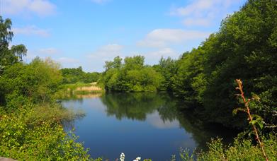 Fingringhoe Wick North View