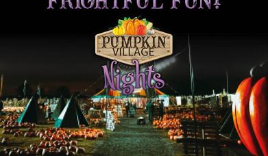 Pumpkin Village Nights
