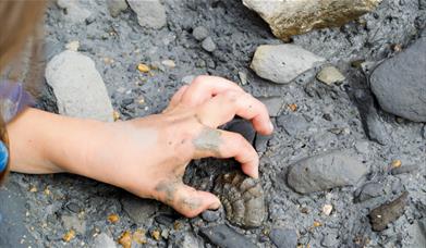 Children's hand picking a fossil out of some mud
