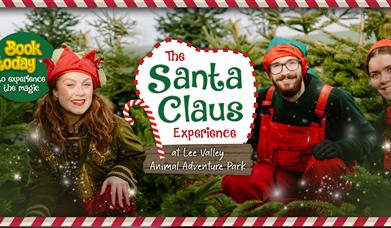 The Santa Claus Experience