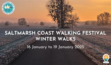 Saltmarsh Coast Walking Festival - Winter Walks