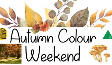 Autumn Colour Weekend