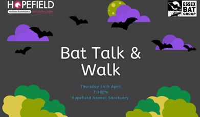 Bat Talk & Walk